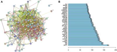 Rhizoma Atractylodis Macrocephalae—Assessing the influence of herbal processing methods and improved effects on functional dyspepsia